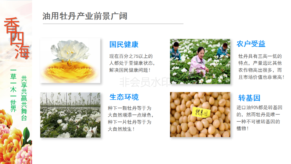 香四海产品与产业_08.png