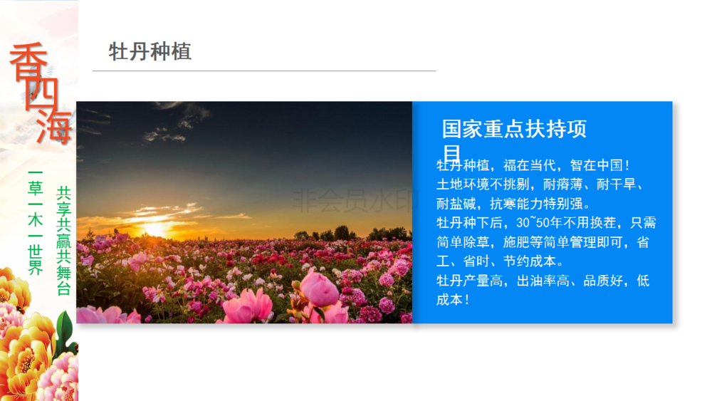 香四海产品与产业_10.png