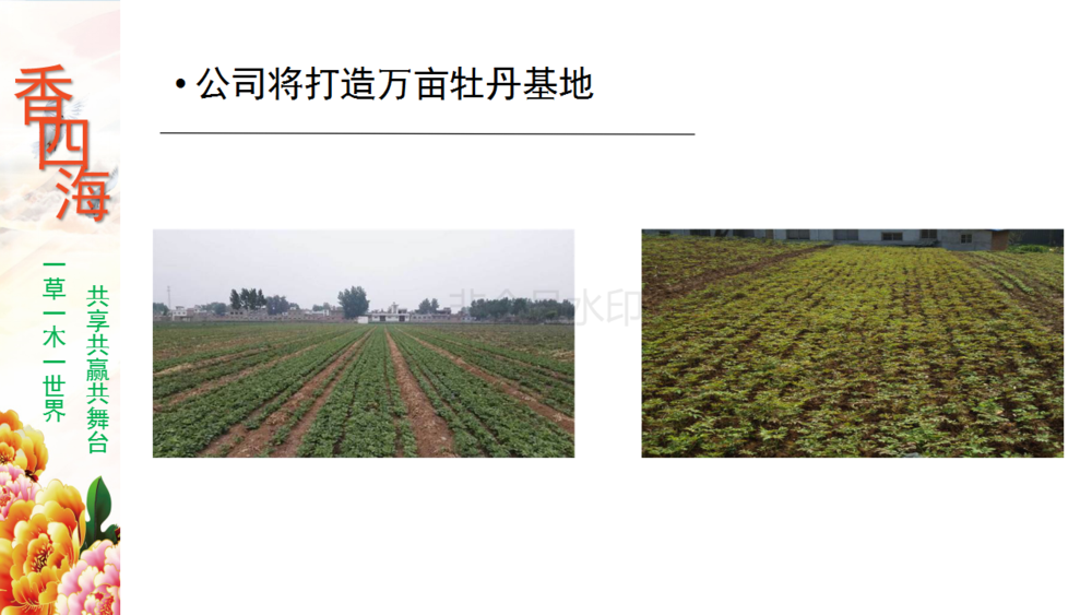香四海产品与产业_11.png